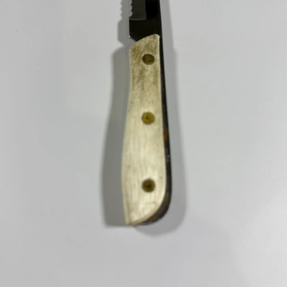 VTG Caesar's Stainless Steal Japan Steak Knife Wooden Handle Rustic Cabin Core